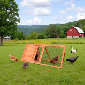 Small Chicken Coop Outdoor Wooden Poultry Hutch & Duck Coop, Quail Cages, Animal Pen